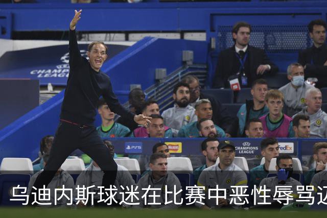 乌迪内斯球迷在比赛中恶性辱骂迈尼昂引发关注